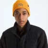 Berretto con risvolto e logo TNF™