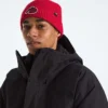 Berretto con risvolto e logo TNF™