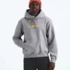 Felpa con cappuccio da uomo TNF™ Essential Expedition Series — Grafica