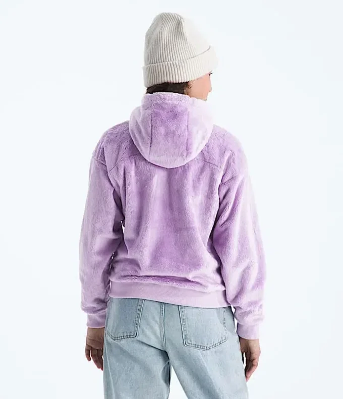 Felpa con cappuccio e zip integrale Osito da bambina Felpa con cappuccio e zip integrale Osito da bambina