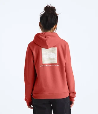 Felpa con cappuccio Evolution Box NSE Fill Light da donna – Grafica