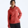 Felpa con cappuccio Evolution Box NSE Fill Light da donna – Grafica Felpa con cappuccio Evolution Box NSE Fill Light da donna – Grafica