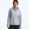 Felpa con cappuccio Evolution Box NSE Fill Light da donna – Grafica