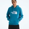 Felpa con cappuccio Evolution Half Dome Regular da uomo