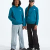Felpa con cappuccio Evolution Simple Dome per ragazzi e ragazze