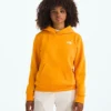 Felpa con cappuccio Evolution Simple Dome per ragazzi e ragazze