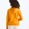 Felpa con cappuccio Evolution Simple Dome per ragazzi e ragazze