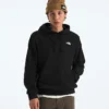 Felpa con cappuccio Evolution Simple Dome Regular da uomo