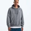 Felpa con cappuccio Evolution Simple Dome Regular da uomo
