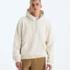 Felpa con cappuccio Evolution Simple Dome Regular da uomo