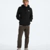 Felpa con cappuccio Evolution Simple Dome Regular da uomo