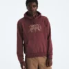 Felpa con cappuccio Evolution TNF™ Bear da uomo — Grafica Felpa con cappuccio Evolution TNF™ Bear da uomo — Grafica