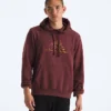 Felpa con cappuccio Evolution TNF™ MTN da uomo — Grafica Felpa con cappuccio Evolution TNF™ MTN da uomo — Grafica