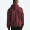 Felpa con cappuccio Evolution TNF™ MTN da uomo — Grafica Felpa con cappuccio Evolution TNF™ MTN da uomo — Grafica