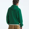 Felpa con cappuccio TNF™ Essential Simple Dome Relaxed da uomo Felpa con cappuccio TNF™ Essential Simple Dome Relaxed da uomo