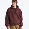 Felpa oversize con cappuccio Evolution Simple Dome da uomo