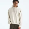 Felpa oversize con cappuccio Evolution Simple Dome da uomo