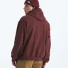 Felpa oversize con cappuccio Evolution Simple Dome da uomo