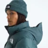 Giacca da donna 1996 Retro Nuptse Giacca da donna 1996 Retro Nuptse