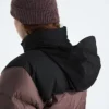 Giacca da donna 1996 Retro Nuptse Giacca da donna 1996 Retro Nuptse