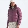 Giacca da donna 2000 Retro Nuptse Giacca da donna 2000 Retro Nuptse