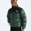 Giacca da uomo 1996 Retro Nuptse Giacca da uomo 1996 Retro Nuptse