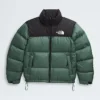 Giacca da uomo 1996 Retro Nuptse Giacca da uomo 1996 Retro Nuptse