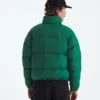 Giacca da uomo 1996 Retro Nuptse DTM Giacca da uomo 1996 Retro Nuptse DTM