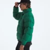 Giacca da uomo 1996 Retro Nuptse DTM Giacca da uomo 1996 Retro Nuptse DTM