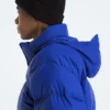 Giacca da uomo 1996 Retro Nuptse DTM