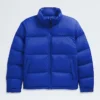 Giacca da uomo 1996 Retro Nuptse DTM