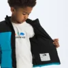Giacca Nuptse 1996 Retro per bambini Giacca Nuptse 1996 Retro per bambini