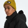 Giacca RMST GORE-TEX® Nuptse Tek da uomo Giacca RMST GORE-TEX® Nuptse Tek da uomo