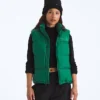 Gilet da donna 1996 Retro Nuptse DTM Gilet da donna 1996 Retro Nuptse DTM