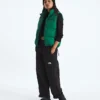 Gilet da donna 1996 Retro Nuptse DTM Gilet da donna 1996 Retro Nuptse DTM