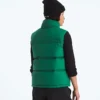 Gilet da donna 1996 Retro Nuptse DTM Gilet da donna 1996 Retro Nuptse DTM