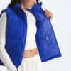 Gilet da donna 1996 Retro Nuptse DTM Gilet da donna 1996 Retro Nuptse DTM