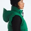 Gilet da donna 1996 Retro Nuptse DTM Gilet da donna 1996 Retro Nuptse DTM