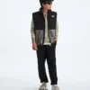 Gilet Retro Denali da uomo Gilet Retro Denali da uomo