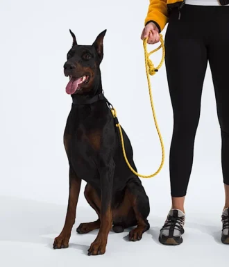 Guinzaglio per animali domestici TNF™