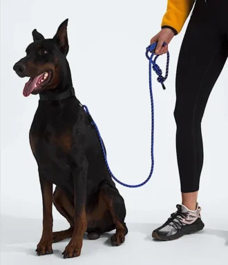 Guinzaglio per animali domestici TNF™