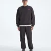Maglia TNF™ Red Box Crew da uomo Maglia TNF™ Red Box Crew da uomo