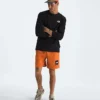 Maglietta a maniche lunghe Evolution Box NSE Regular da uomo Maglietta a maniche lunghe Evolution Box NSE Regular da uomo