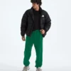Pantaloni TNF™ Essential Simple Dome Relaxed da uomo