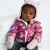 Set Baby Bear