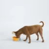 TNF™ Ciotola pieghevole per animali domestici TNF™ Ciotola pieghevole per animali domestici