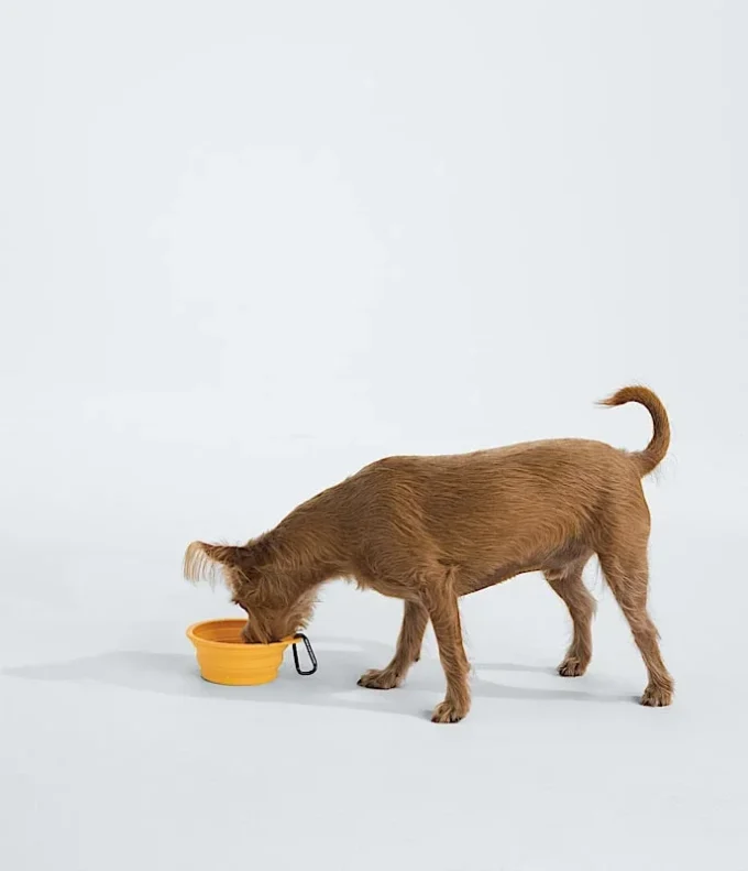 TNF™ Ciotola pieghevole per animali domestici TNF™ Ciotola pieghevole per animali domestici