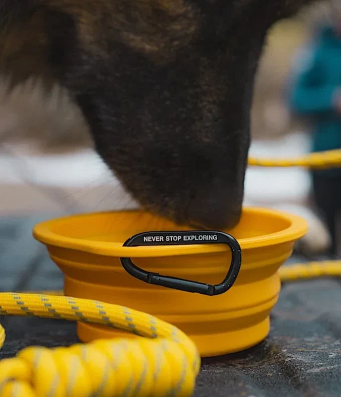 TNF™ Ciotola pieghevole per animali domestici TNF™ Ciotola pieghevole per animali domestici